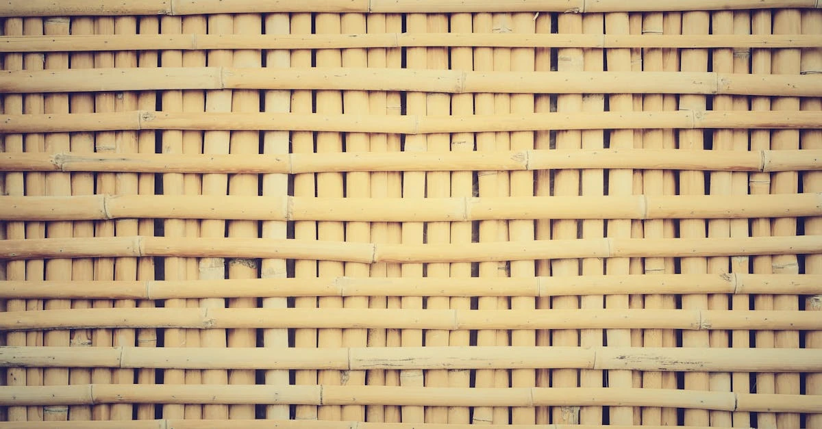 découvrez le bambou : une plante écologique, résistante et polyvalente, idéale pour la décoration, la construction durable ainsi que la fabrication d’objets du quotidien. explorez ses multiples usages et ses bienfaits pour la planète.
