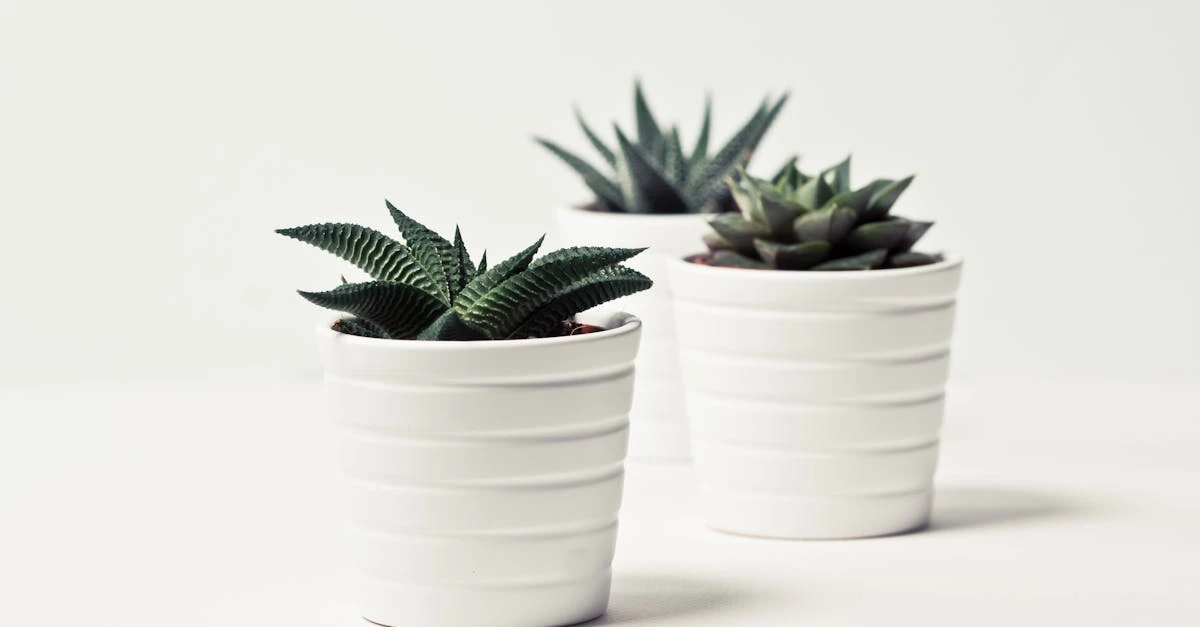découvrez des idées de décoration tendance pour sublimer votre intérieur : inspirations, conseils pratiques et astuces pour personnaliser chaque pièce selon votre style.