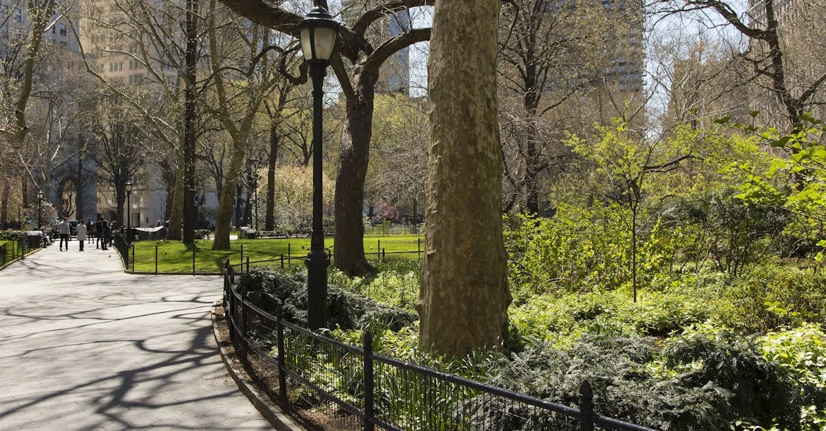 découvrez nos services d'aménagement paysager pour sublimer votre jardin. création, entretien et conseils personnalisés pour un espace extérieur unique et harmonieux.
