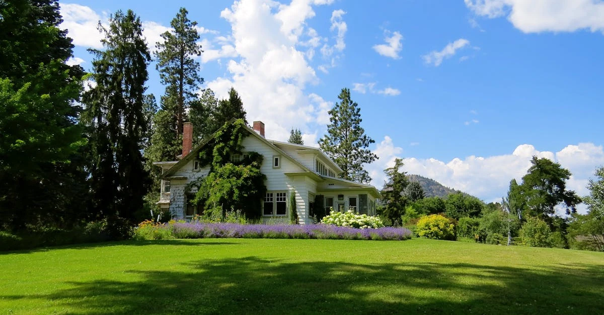 découvrez nos conseils et services de landscaping pour transformer votre jardin en un espace vert harmonieux, esthétique et fonctionnel. aménagement paysager sur-mesure adapté à vos envies.