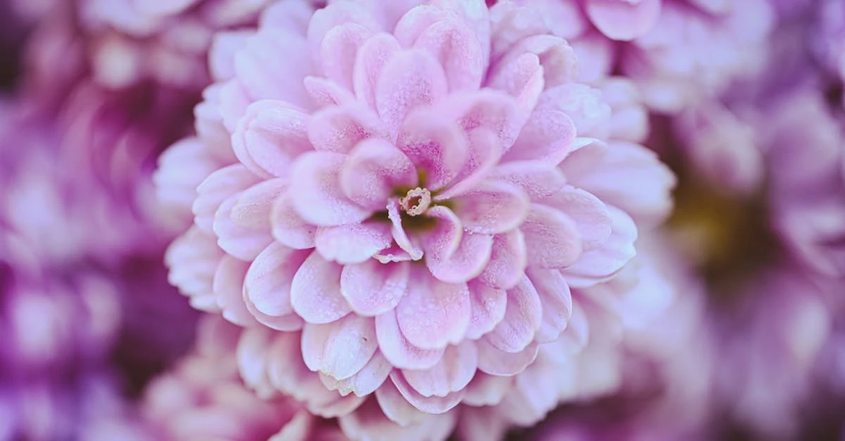 découvrez la définition, le cycle de vie et les avantages des plantes vivaces (perennial) pour un jardinage durable, facile et fleurissant toute l’année.
