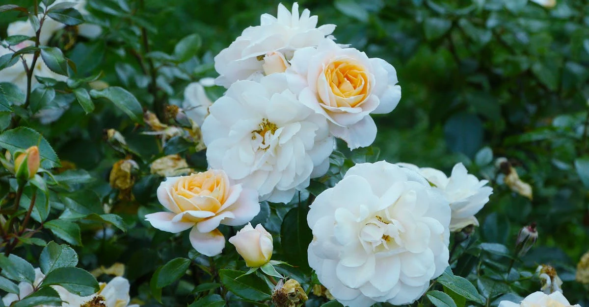 découvrez la signification du mot 'perennial', ses utilisations et son importance en jardinage, botanique et dans la langue française. conseils et exemples inclus.