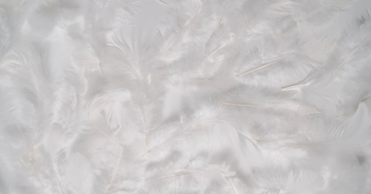 découvrez nos solutions d'isolation de grenier pour améliorer le confort thermique de votre maison et réduire vos factures d'énergie.