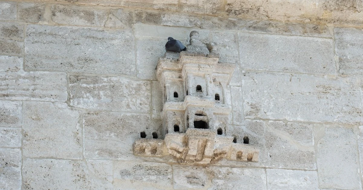 découvrez la signification spirituelle et symbolique d'un nid de pigeon, un symbole de paix, de protection et de foyer.