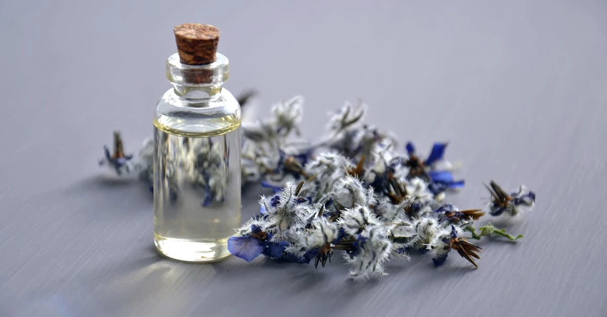 découvrez les secrets de la beauté naturelle et du bien-être pour une harmonie parfaite entre corps et esprit.