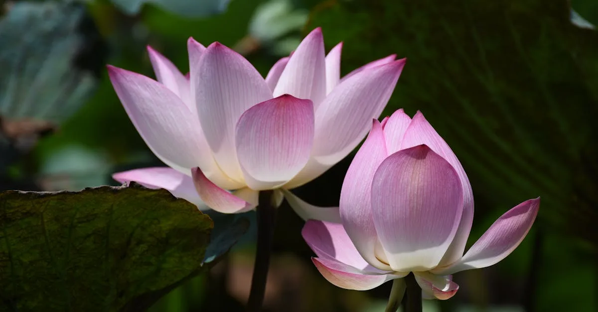 découvrez l'art du jardinage zen pour créer un espace de paix et d'harmonie chez vous. techniques, conseils et idées pour un jardin apaisant et équilibré.