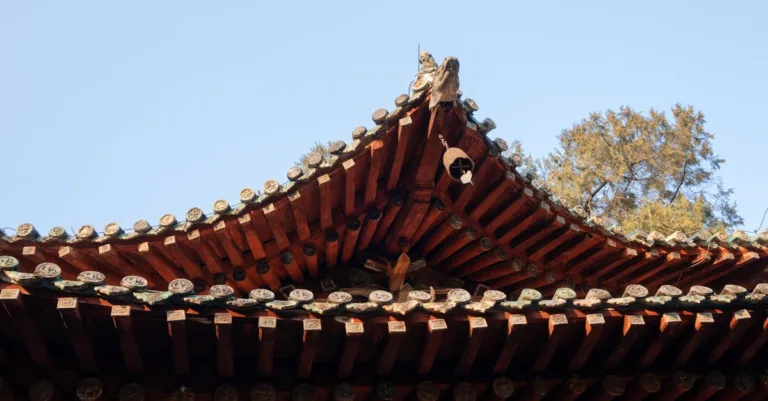 découvrez l'art et la science de l'architecture, alliant créativité et technique pour concevoir des espaces innovants et fonctionnels.