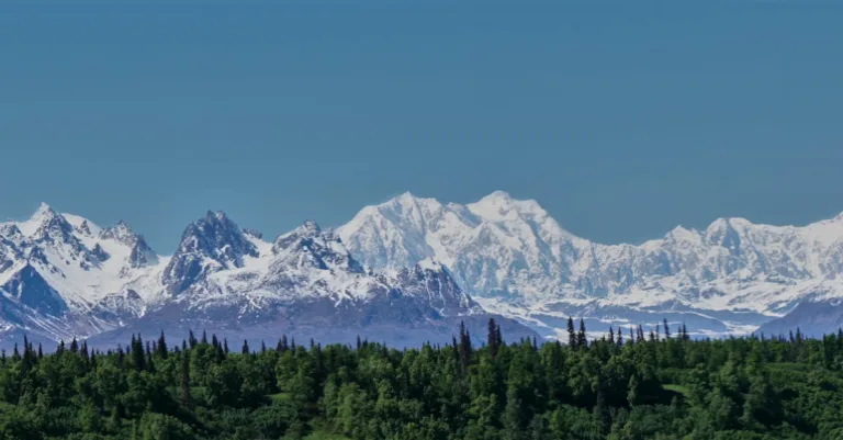 découvrez tout ce qu'il faut savoir sur les triplés : grossesse multiple, challenges, histoires inspirantes et conseils pour les parents.