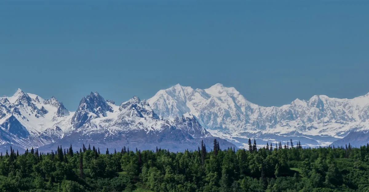 découvrez tout ce qu'il faut savoir sur les triplés : grossesse multiple, challenges, histoires inspirantes et conseils pour les parents.