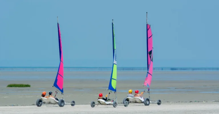 découvrez le land sailing, une activité de voile terrestre passionnante alliant vitesse et sensations fortes sur des véhicules à voile adaptés au terrain.
