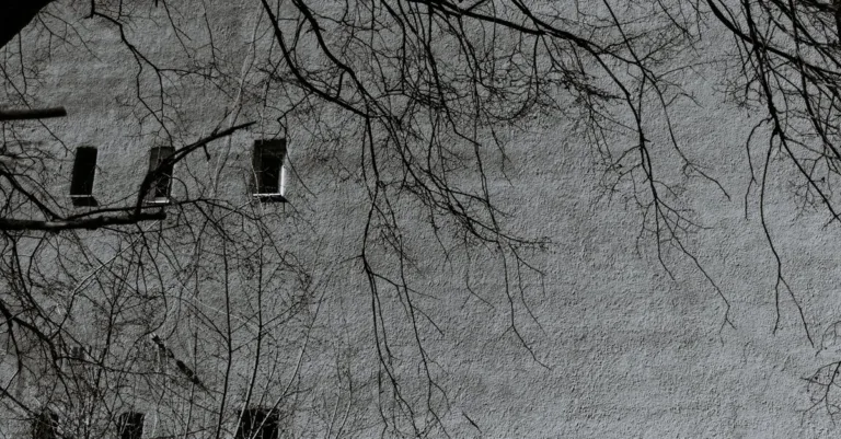 découvrez l'élégance des murs blancs froids, une tendance déco qui apporte pureté et modernité à votre intérieur.