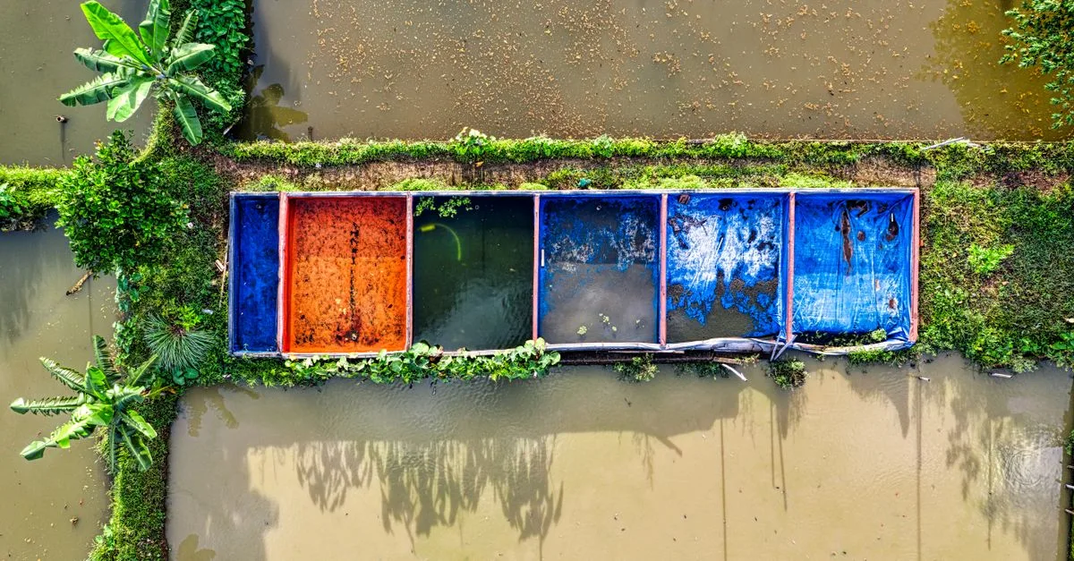 découvrez l'aquaponie, un système durable combinant culture de plantes et élevage de poissons pour une agriculture écologique et productive.