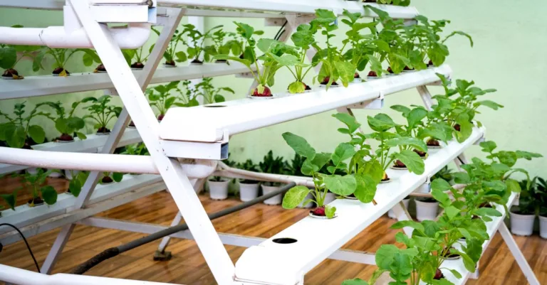 découvrez l'aquaponie, une méthode écologique alliant culture de plantes et élevage de poissons pour un jardinage durable et autonome.
