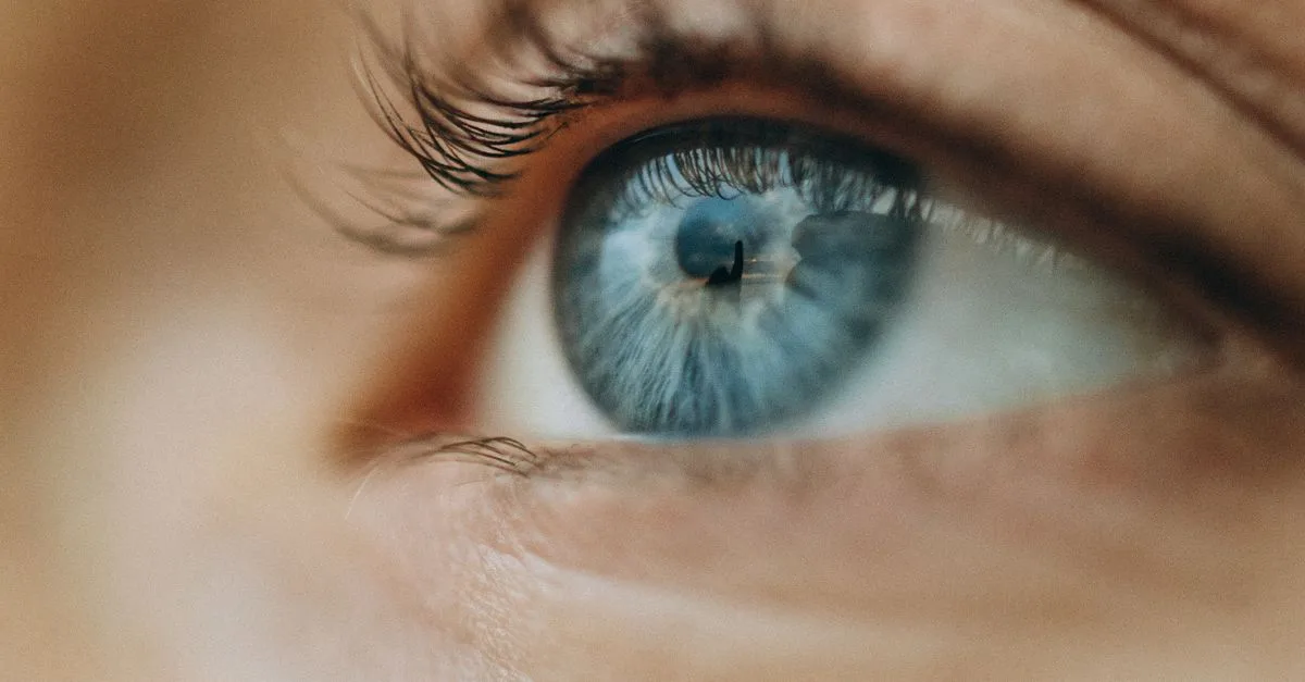 découvrez comment la perception des couleurs influence notre vision et notre compréhension du monde qui nous entoure.