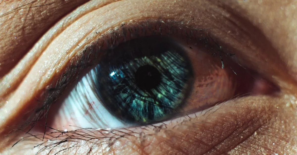 découvrez comment la perception des couleurs influence notre vision et notre interprétation du monde qui nous entoure.
