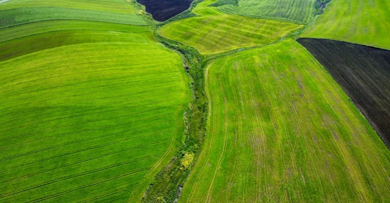 découvrez l'agriculture écologique, une méthode respectueuse de l'environnement qui privilégie la biodiversité, la santé des sols et la réduction des pesticides pour une production durable et saine.