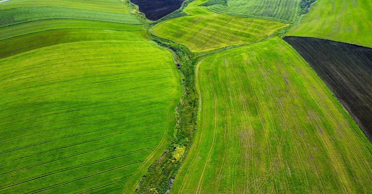 découvrez l'agriculture écologique, une méthode respectueuse de l'environnement qui privilégie la biodiversité, la santé des sols et la réduction des pesticides pour une production durable et saine.