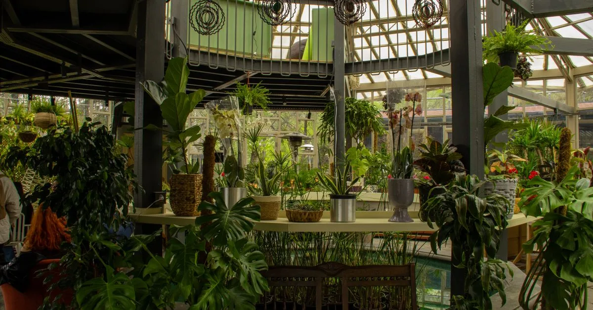 découvrez notre sélection de plantes d'intérieur pour embellir et purifier votre espace de vie. conseils d'entretien et variétés pour tous les styles.