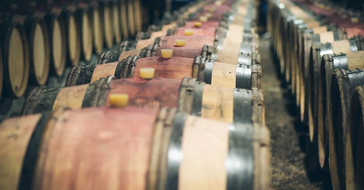 découvrez les vignobles normands, leurs cépages uniques et les vins raffinés de normandie. explorez les meilleures caves à vin et profitez d'une expérience œnologique authentique.