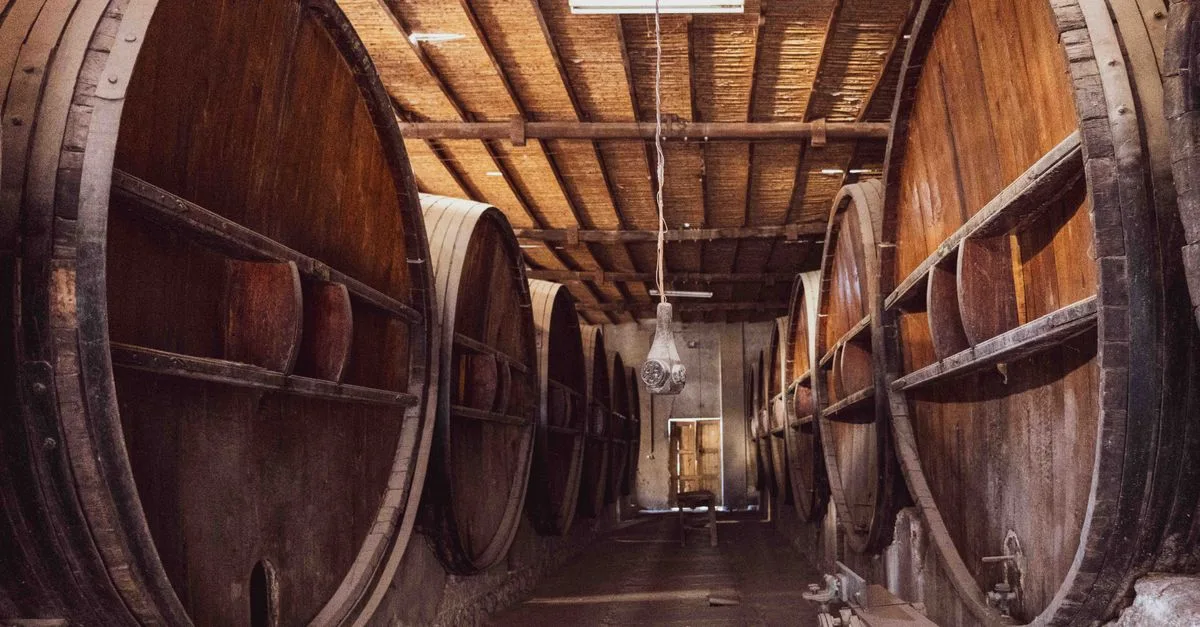 découvrez norman wineries, des vignobles d'exception offrant des vins authentiques et raffinés, où tradition et passion se rencontrent pour un dégustation unique.