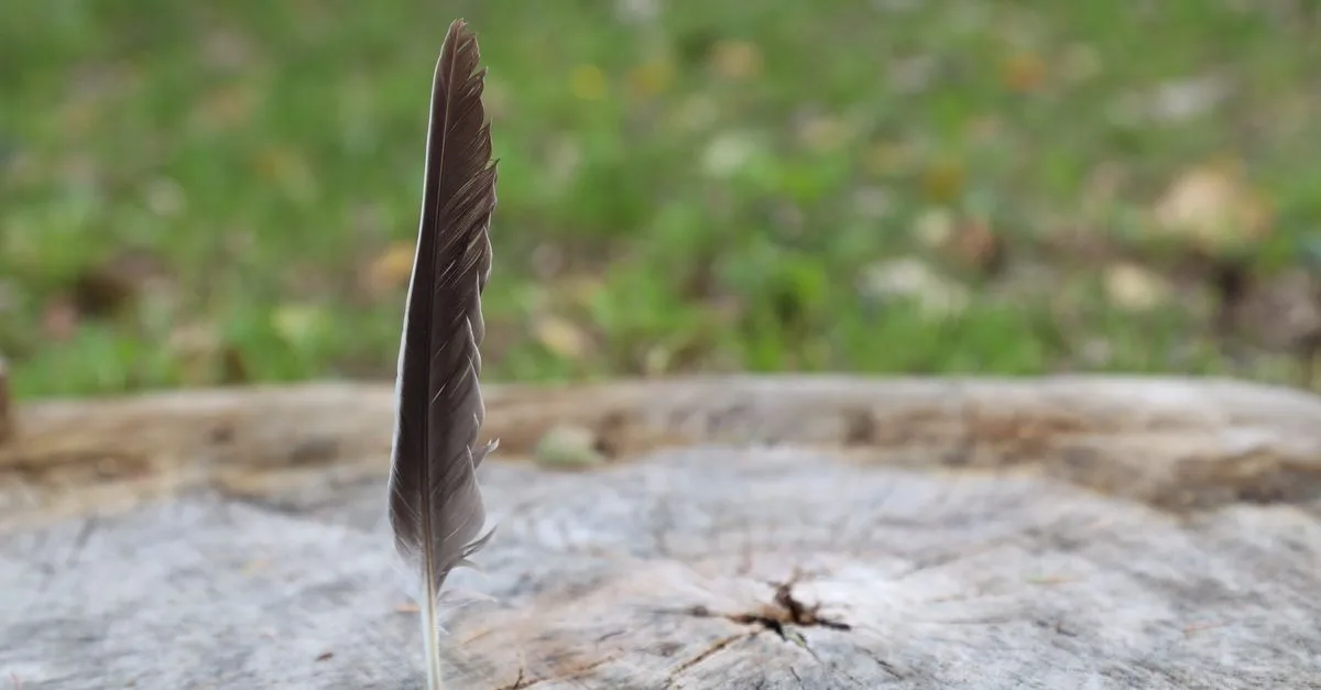 webfeather : solutions web élégantes et légères pour développer votre présence en ligne avec simplicité et efficacité.