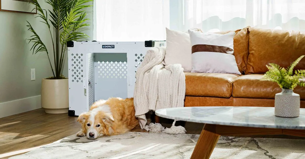découvrez comment la couleur influence la température d'une pièce et comment choisir les teintes adaptées pour un intérieur confortable et énergétiquement efficace.