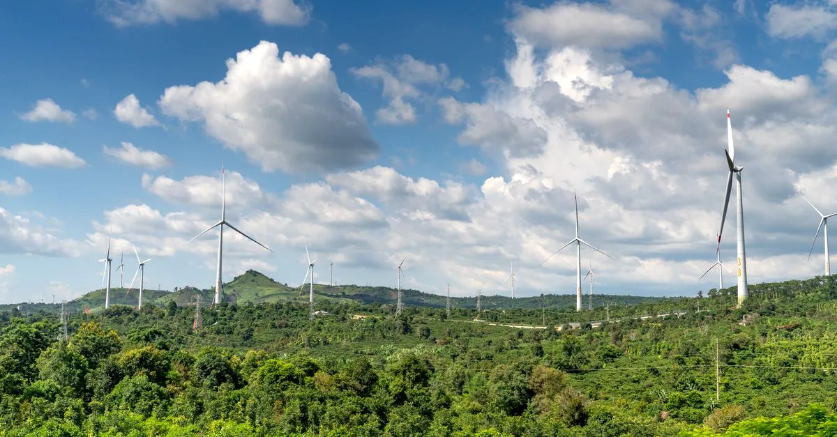découvrez les réglementations environnementales : lois, normes et politiques visant à protéger l'environnement et promouvoir un développement durable.