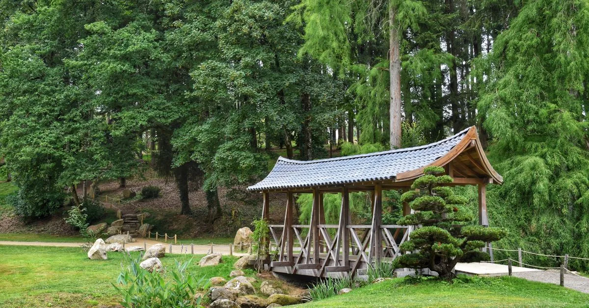 découvrez la beauté et la sérénité d'un jardin botanique japonais, un havre de paix où la nature et la tradition se rencontrent.