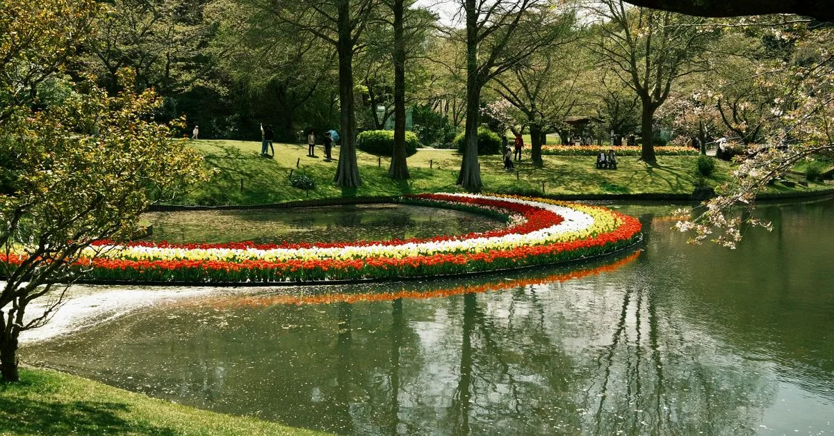 découvrez la sérénité et la beauté du jardin botanique japonais, un espace où la nature et la culture se rencontrent pour offrir une expérience unique de paix et d'harmonie.