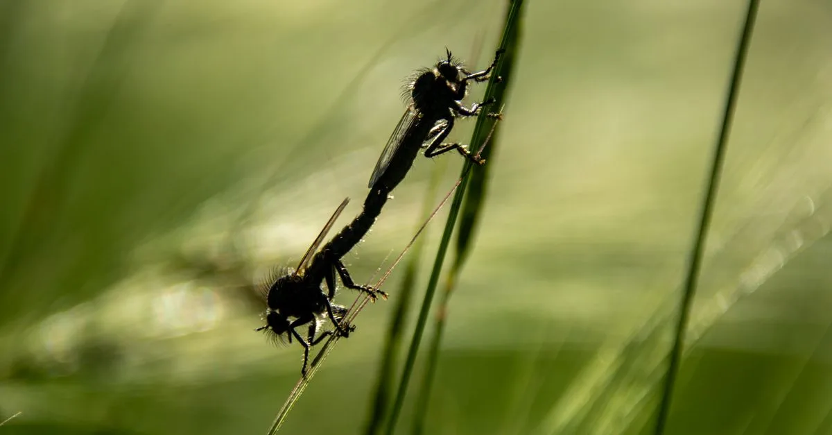 découvrez l'importance de la coexistence harmonieuse entre les individus, les cultures et la nature pour un avenir paisible et durable.