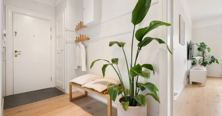 découvrez des idées de décoration minimaliste pour un intérieur épuré, élégant et fonctionnel, alliant simplicité et style.